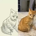 commented item thumbnail