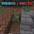 Minecraft visions