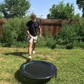 Dogs can learn to use the trampoline