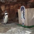 Pingüiotaku