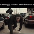 Cjsj siendo un chimpancé :v