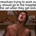 Werewolves meme