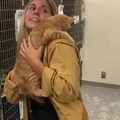 Hug that cat