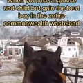 Best doggo in the Commonwealth