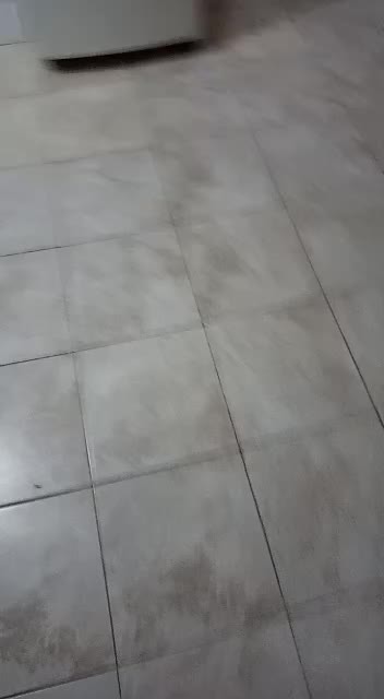 Lo logro - Meme subido por 3l_3squelet0_4rg :) Memedroid