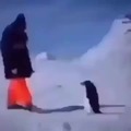 Penguin strike force