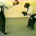 Monki karateka