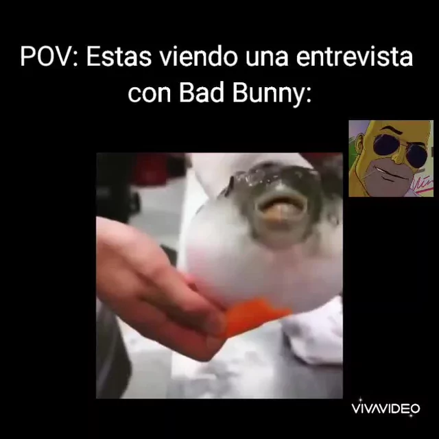 El bad bunny - Meme by Gerapk :) Memedroid