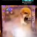 commented item thumbnail
