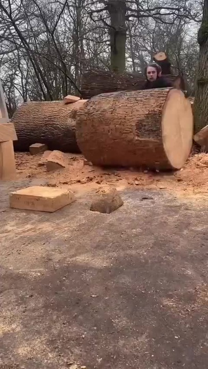 3d-print with a chainsaw, chisels, and paint - Meme by ...