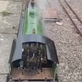 I fucking love trains