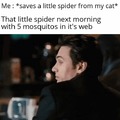 Thank you spidy