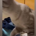 commented item thumbnail