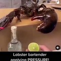 The bartender is a crustacean!