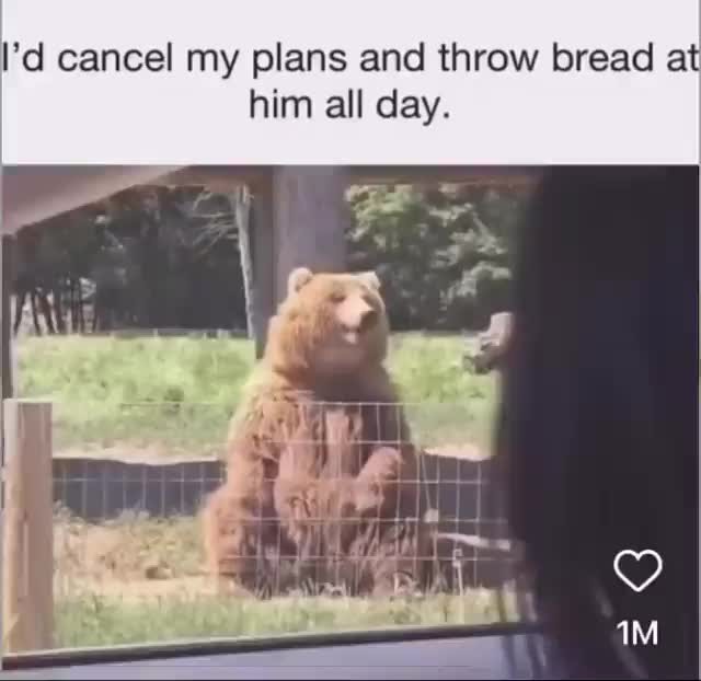 Give me some more Meme by tamikins123 ) Memedroid