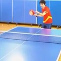 ping pong y sonar