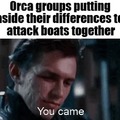 Orca groups