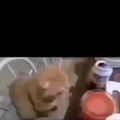 commented item thumbnail