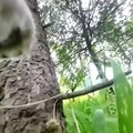 commented item thumbnail