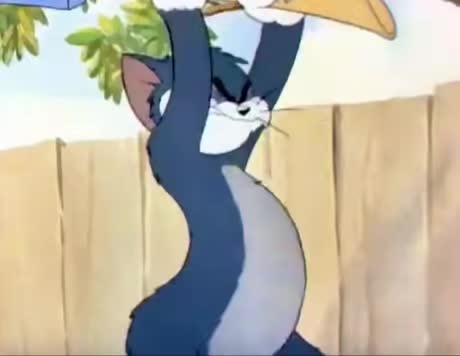 Tom And Jerry Epic Transitions Meme By Moldnugget Memedroid Tom And Jerry Epic Transitions Meme By Moldnugget Memedroid