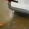 Made the car wet
