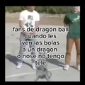 Fans de dragon ball