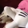 Mickey Mouse pets a doggo