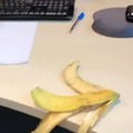 Pelao banana