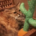 commented item thumbnail