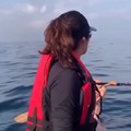 salto de ballena increíble