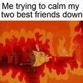 me trying to calm my two best friends down