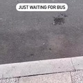 Esperando el bus con flow