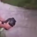 commented item thumbnail