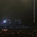 WTF- The Killers apologize for bringing Russian fan onstage in Georgia