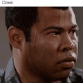 UFO vs cows