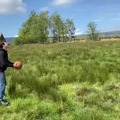 el lanzamiento de pelota a molino