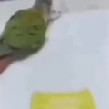 commented item thumbnail