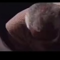 commented item thumbnail