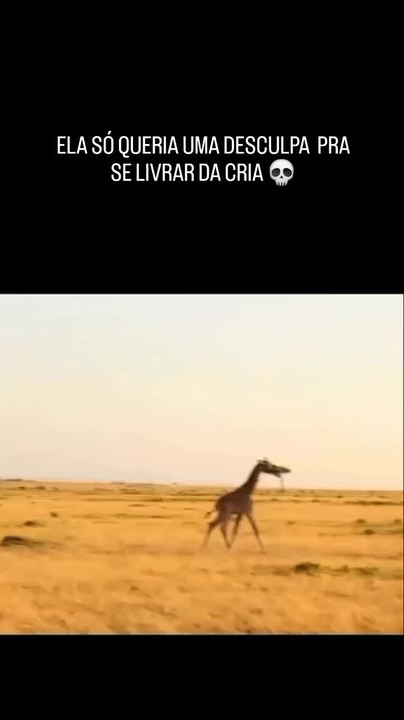 Mano - Meme by Apenasexisto :) Memedroid