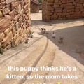 commented item thumbnail