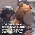 Police in Peru used a teddy bear costume to conduct a cocaine drug bust on Valentine’s Day, arresting two women on suspicion of dealing.