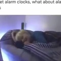 Alarm beds