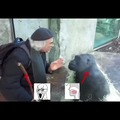 Un parlao con el mono sabio