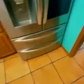 Cool fridge