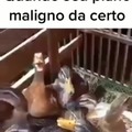 commented item thumbnail