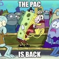 The pac is back 2