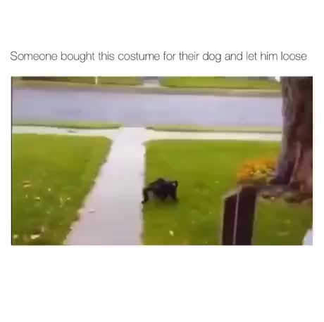 Its all fun and games until someone goes for fight instead of flight ...