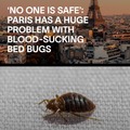 Paris is overrun with bed bugs just before Paris Olympics