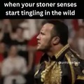 Stoner senses