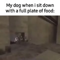 I usually give my dog my last bite